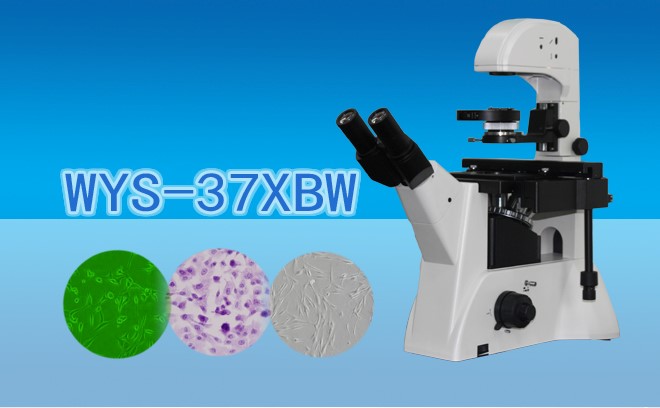 三目倒置生物免费看片软件下载WYS-37XBW