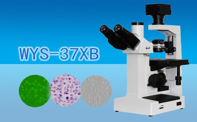 三目倒置生物免费看片软件下载WYS-37XB