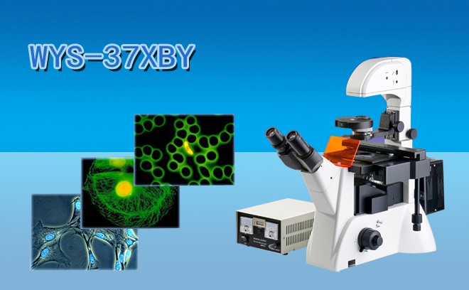 细胞研究用的生物免费看片软件下载分类和工作原理