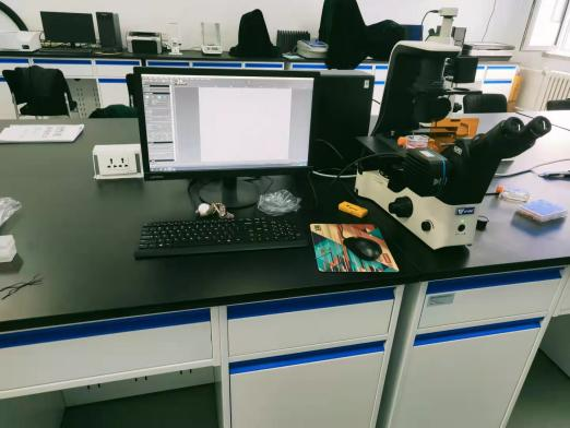 哈尔滨商业大学购入天津免费看片18禁光电三目倒置荧光显微成像系统