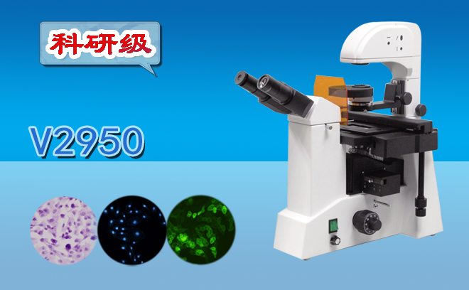 荧光免费看片软件下载.png 荧光免费看片软件下载.png