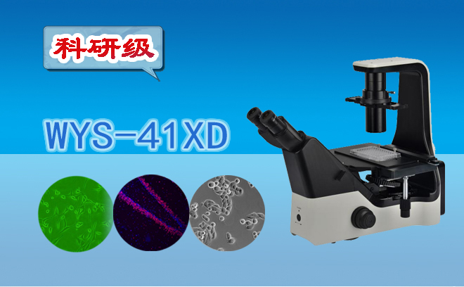 免费看片软件下载资讯：固体杂质的种类和含量样品分析生物免费看片软件下载