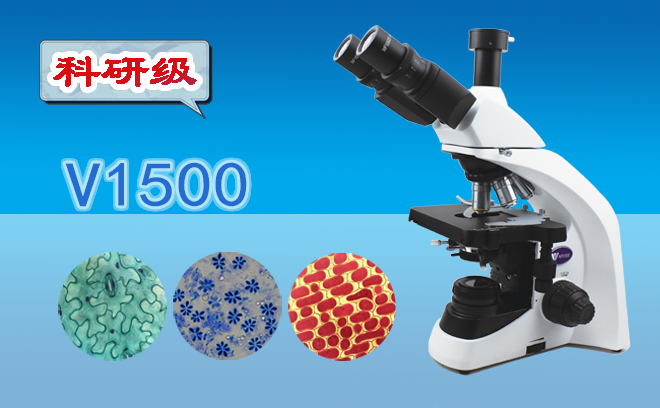 免费看片软件下载资讯：复合材料零件显微硬度实验生物免费看片软件下载