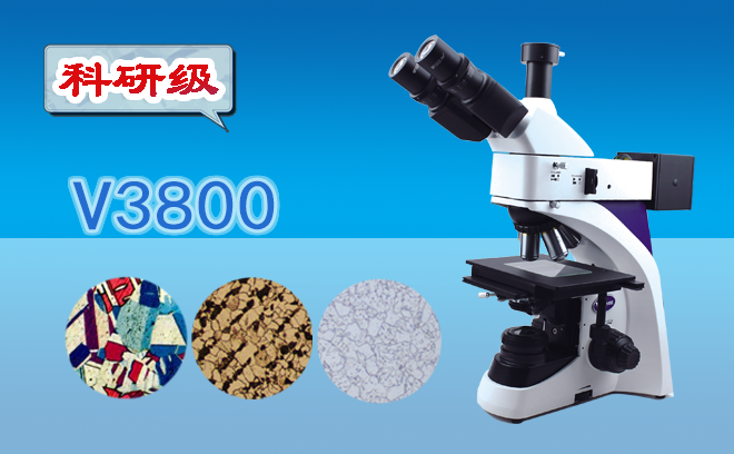 1672295032135708.png 金相免费看片软件下载.png