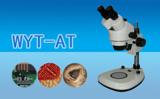 体视免费看片软件下载的几个核心应用领域介绍